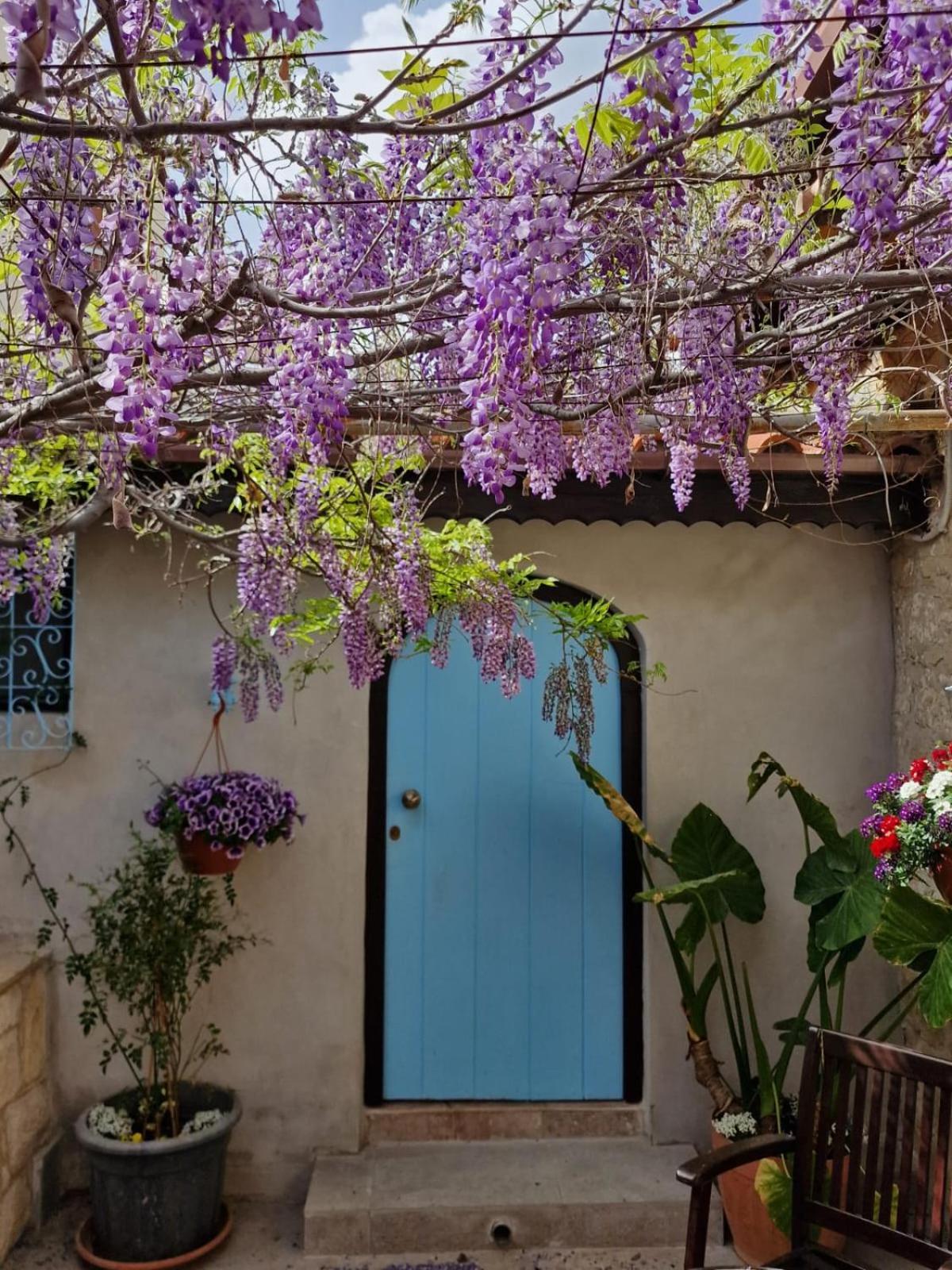 Kalimera A Lovely 1-Bedroom Rental With Ensuite And Kitchen Лімасол Екстер'єр фото